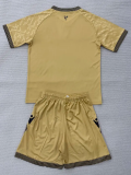 25-26 Crystal Palace Away Adult Suit 1:1 Thai Quality