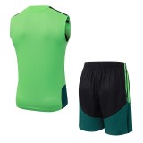 2026 AD Green High Quality Player Version Tank Top And Shorts Suit (球员套装)