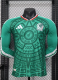 2026 World Cup Mexico Home Long sleeves Player Version Soccer Jersey*长袖球员