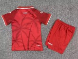 2026 Haiti Third Kids Soccer Jersey