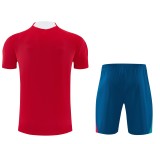 26-27 Portugal High Quality Training Short Suit