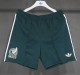 2026 World Cup Mexico Away High Quality Shorts Pants