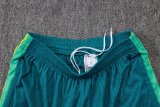 26-27 Brazil High Quality Player Version Training Short Suit (球员套装)
