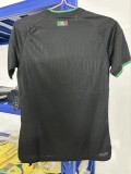 2026 Mexico Embroidered Version Player Version Soccer Jersey