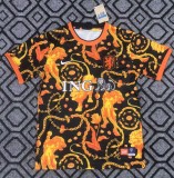 26-27 NetherIands Special Edition Fans Soccer Jersey