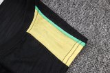 26-27 Brazil High Quality Player Version Tank Top And Shorts Suit  (球员套装)