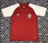 26-27 Spain Red Training shirts