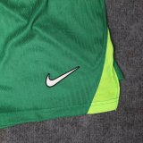 2026 Nigeria Home Player Version Shorts Pants (球员短裤)