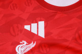 26-27 LIV High Quality Training Short Suit