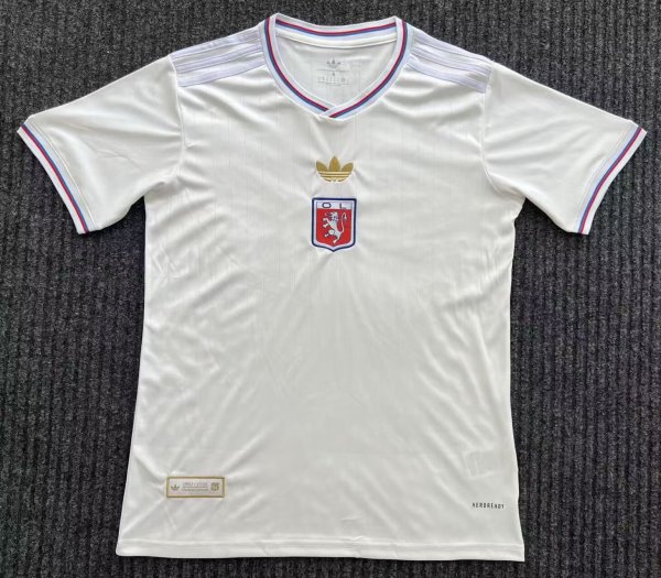 24-25 Lyon Anniversary Edition Fans Soccer Jersey