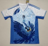 26-27 Brazil Special Edition Fans Soccer Jersey