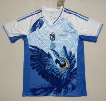 26-27 Brazil Special Edition Fans Soccer Jersey