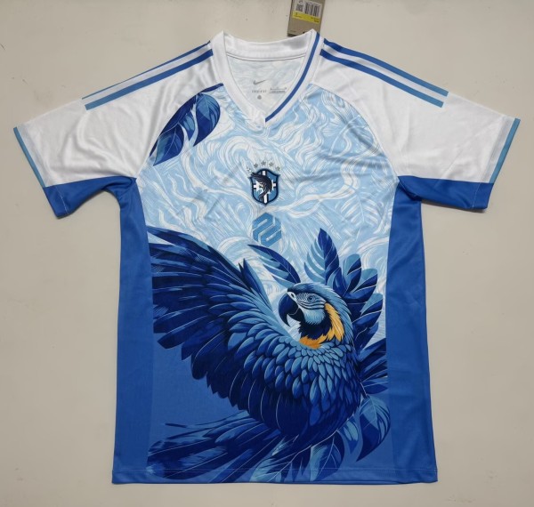 26-27 Brazil Special Edition Fans Soccer Jersey