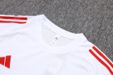 25-26 Bayern High Quality Training Short Suit