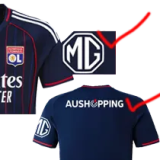 25-26 Lyon Away Fans Soccer Jersey
