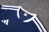 2025 AD Player Version Training Short Suit —Royal blue 宝蓝色