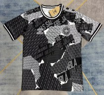 24-25 Denmark Special Edition Fans Soccer Jersey