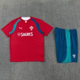 26-27 Portugal High Quality Training Short Suit