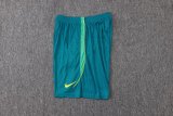 26-27 Brazil Green High Quality Player Version Training Shorts Pants (球员短裤)