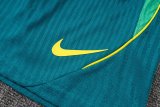 26-27 Brazil Green High Quality Player Version Training Shorts Pants (球员短裤)