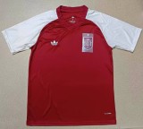 26-27 Spain Red Training shirts