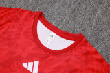 26-27 LIV High Quality Training Short Suit