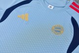 26-27 Bayern High Quality PoLo Training Short Suit