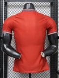 26-27 Spain Special Edition Player Version Soccer Jersey (With 2 Star)*两颗星
