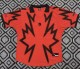 26-27 Canada Joint Edition Training shirts