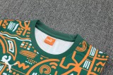 25-26 Côte d'Ivoire High Quality Tank Top And Shorts Suit