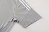2024 AD Gray Training Short Suit