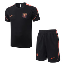 26-27  NetherIands High Quality Training Short Suit