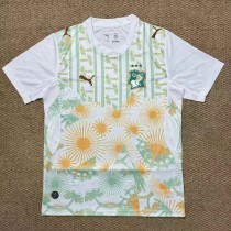 2026 Cote d'Ivoire Away Fans Soccer Jersey
