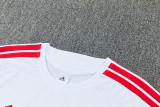 26-27  LIV High Quality Training Short Suit