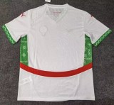 24-25 Morocco Away Fans Soccer Jersey
