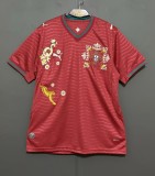 2026 Portugal Embroidered Version Soccer Jersey