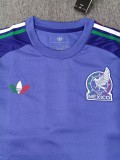 2026 Mexico Goalkeeper Long Sleeve Fans Soccer Jersey (长袖)