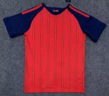 2026 World Cup Spain Home Fans Soccer Jersey (With 2 Star)*两颗星