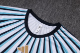 26-27 Argentina High Quality Training Short Suit