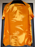 22-23 NetherIands Home  World Cup Fans Soccer Jersey