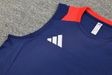 2024 AD Blue Tank Top And Shorts Suit