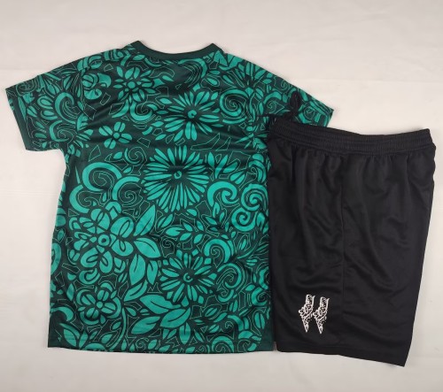 25-26 Palestine Green Fans Kids Soccer Jersey