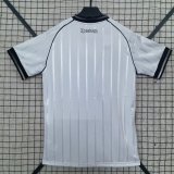 2025 Botafogo Third Fans Soccer Jersey  *带广告