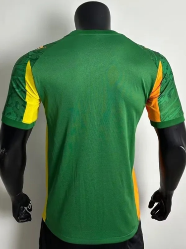 25-26 Dortmund Green Special Edition Player Version Soccer Jersey