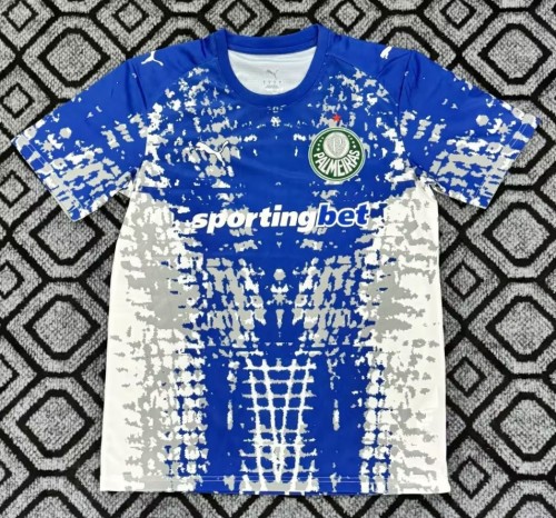 26-27 Palmeiras Goalkeeper Fans Soccer Jersey