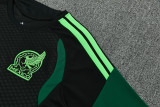 26-27 Mexico High Quality Training Short Suit