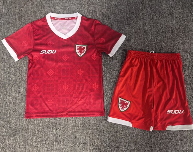 26-27 Wales Red Kids Soccer Jersey