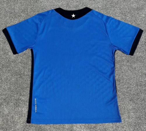 26-27 Botafogo Blue Special Edition Training shirts
