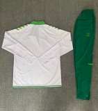 26-27 Real Betis High Quality Half Pull Tracksuit