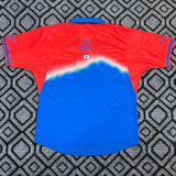 26-27 Korea Red Blue Joint Edition Training shirts